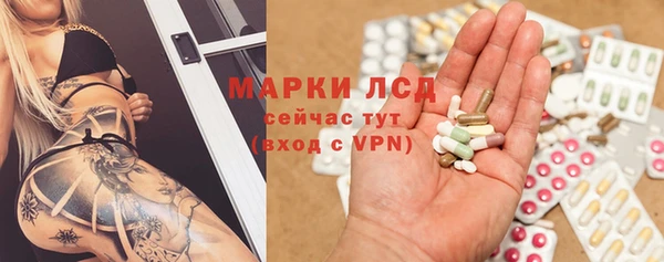 сатива Инсар