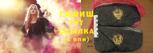 сатива Инсар