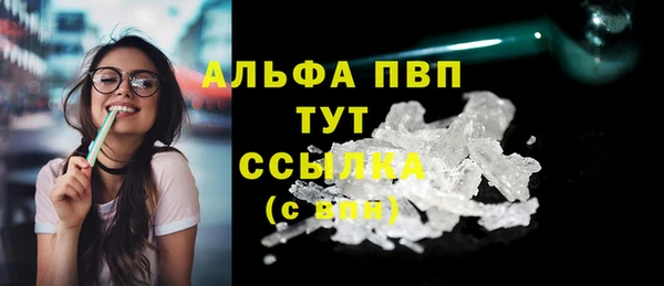 сатива Инсар