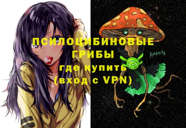 гидра Каменск-Шахтинский