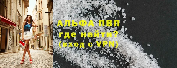 сатива Инсар