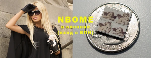 сатива Инсар