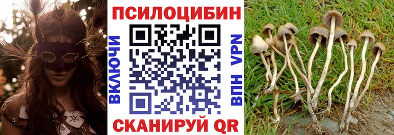 Купить где  Дальнереченск  Псилоцибиновые грибы Psilocybine cubensis 